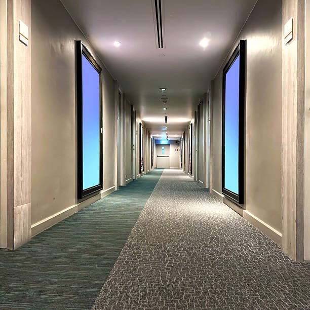 Best Carpet for Apartments in Dubai | Carpet Solution Hub