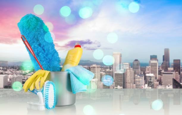 5 Essential Cleaning Tips for Homes in the UAE | Carpet Solution Hub